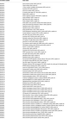 Comparative de novo transcriptome analysis of flower and root of Oliveria decumbens Vent. to identify putative genes in terpenes biosynthesis pathway